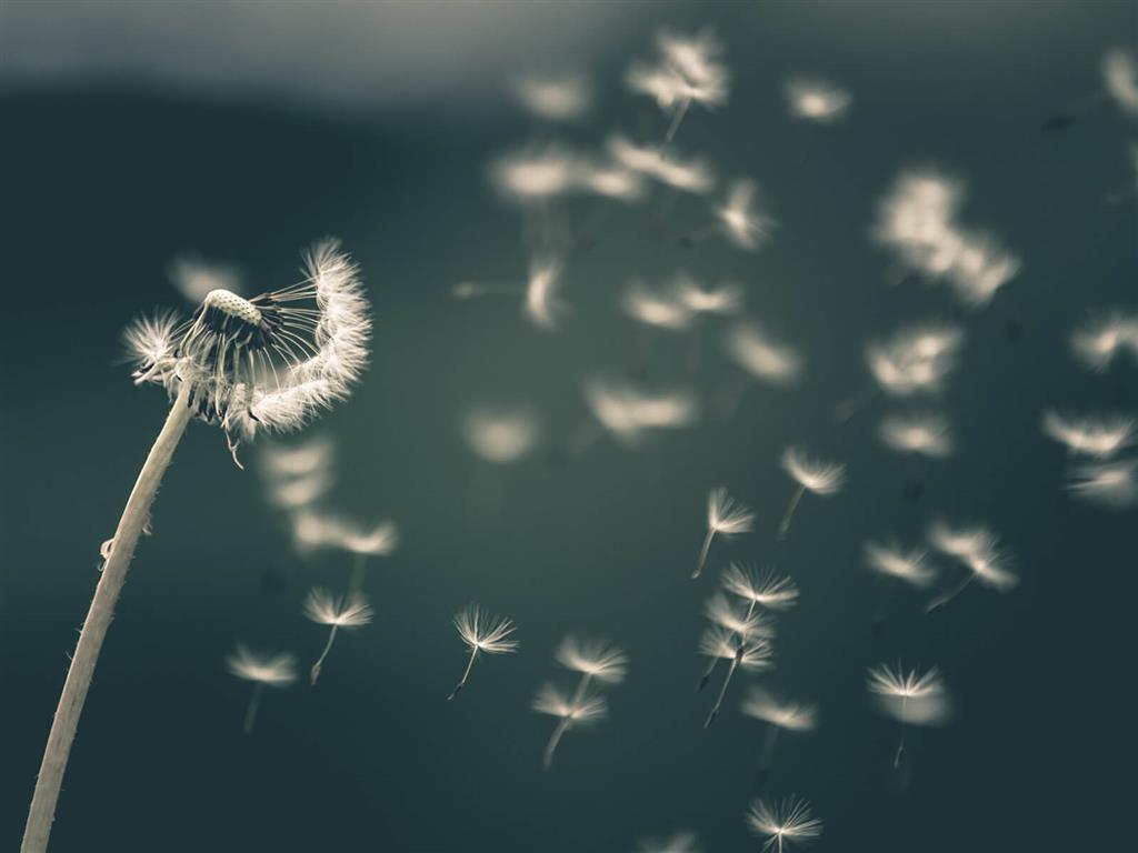 The Wind Blows Where it Wishes