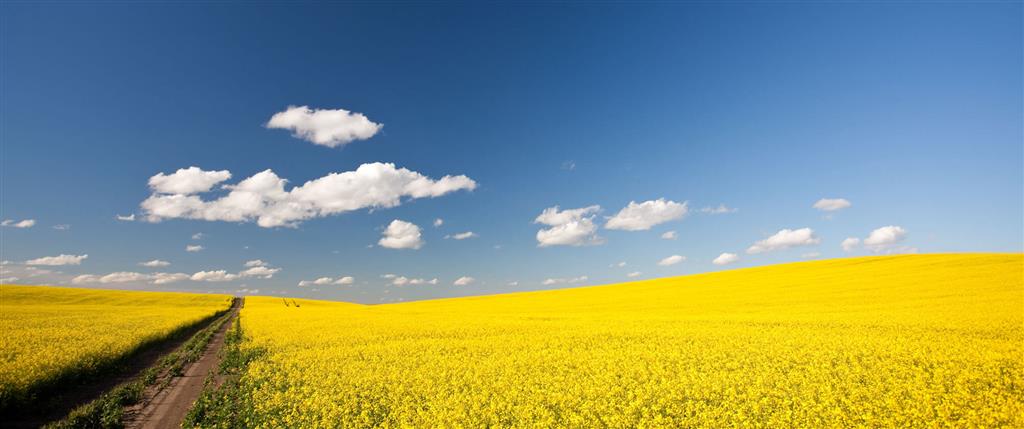 Multiplication as We Grow Deeper in Jesus
