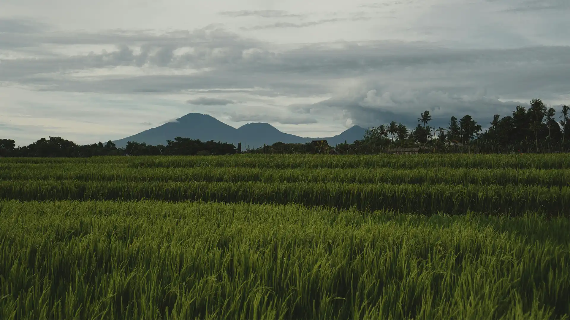 Myanmar Earthquake Disaster recovery project update